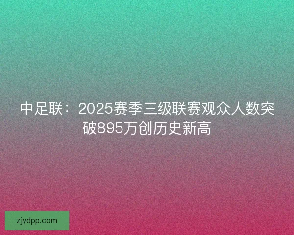 中足联：2025赛季三级联赛观众人数突破895万创历史新高